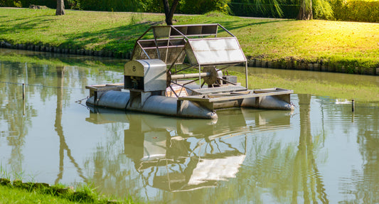Water Pump and Filter System