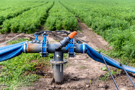 Common Issues with Irrigation Pumps from Lakes and How to Solve Them