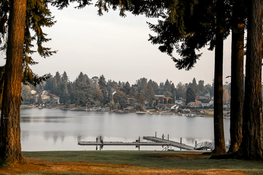 Types of Irrigation Pumps for Lakefront Homes