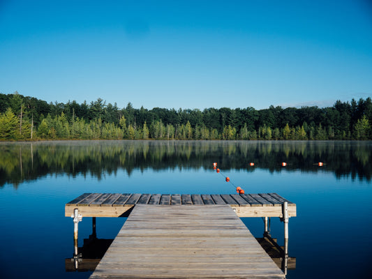 Lakefront Living Made Easy: A Comprehensive Guide to BeachGroomer's Maintenance Solutions