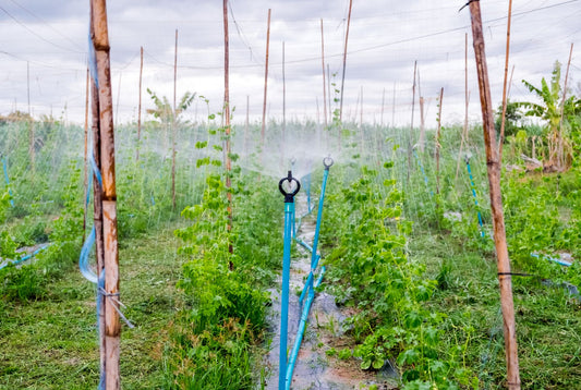 Experience the BeachGroomer Difference: Comprehensive Solutions for Shoreline Maintenance and Irrigation