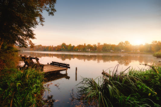 Guide to Lake Weed and Muck Removal