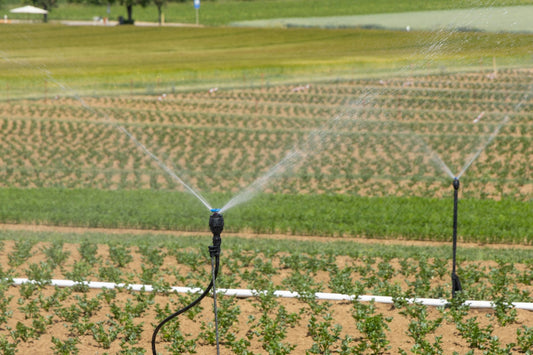 MN Irrigation Systems