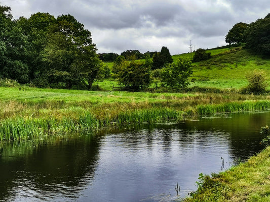 pond irrigation