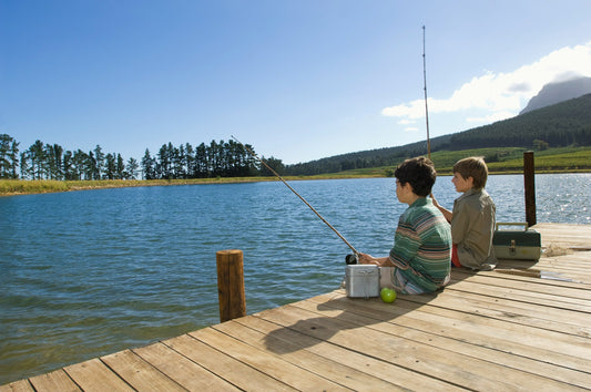 A Comprehensive Guide to Maintaining a Healthy Lakeshore Ecosystem in 2024