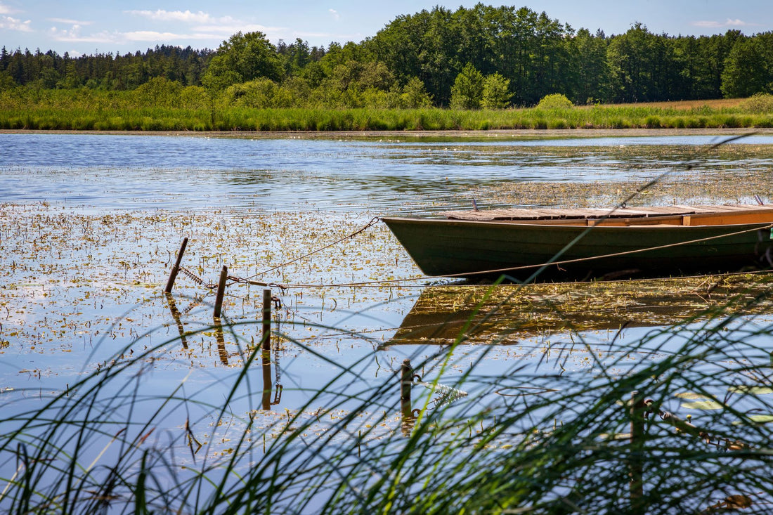 Efficient Lake Weed Muck Removal Techniques for Lakeshore Property Owners in 2024