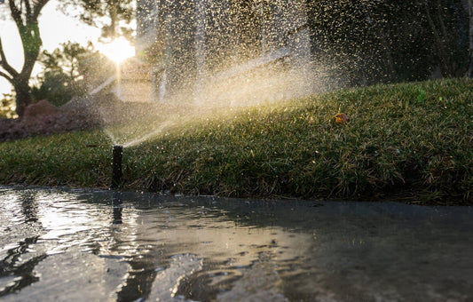 sprinkler watering lawn