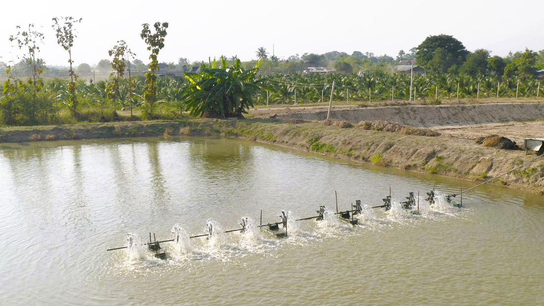 A Guide to Choosing the Right Irrigation System for Your Lakeshore Property