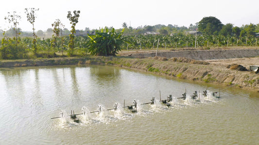 A Guide to Choosing the Right Irrigation System for Your Lakeshore Property