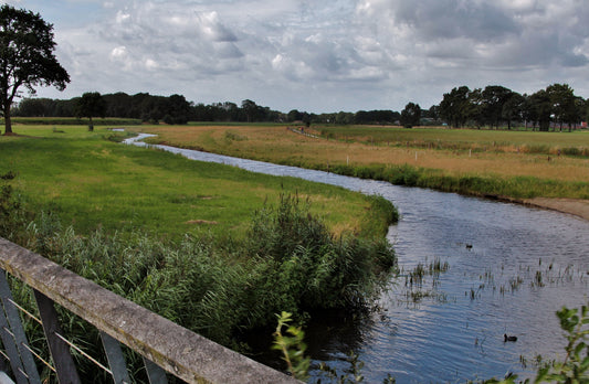 Waterfront Irrigation System