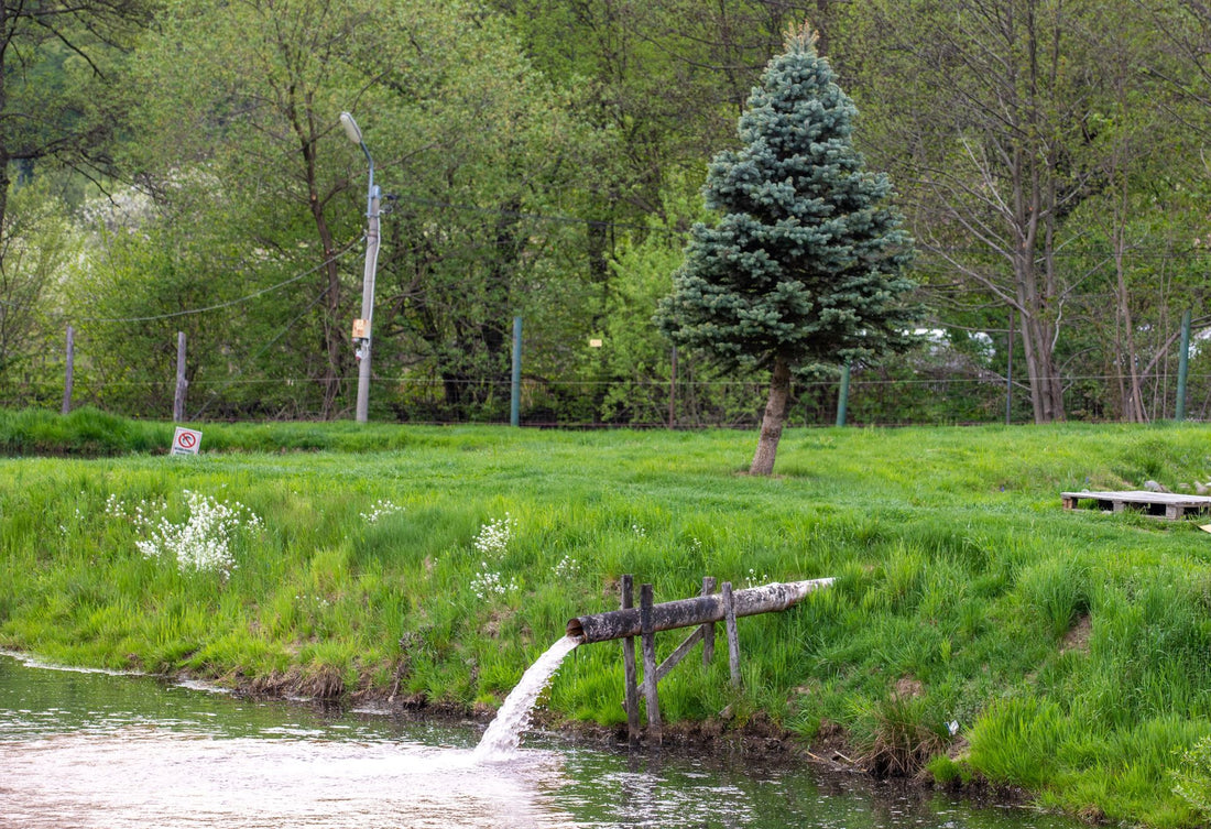 Top 5 Tips for Efficient Lakeshore Property Irrigation and Weed Management in 2024