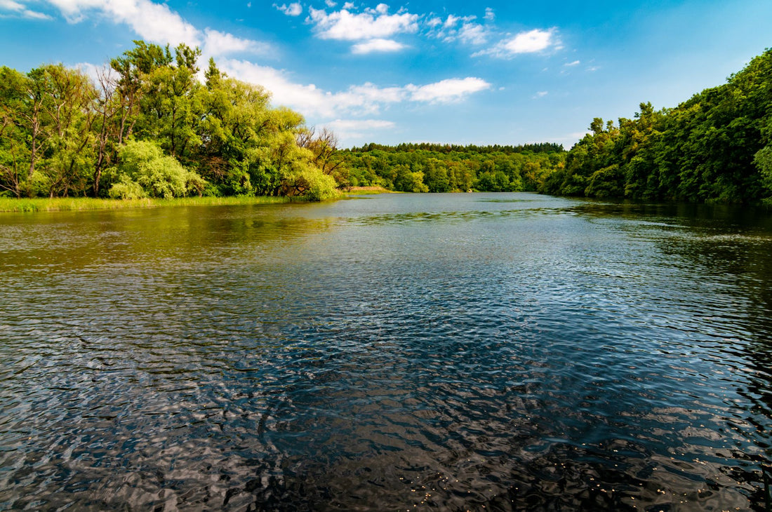 Preserve Your Lake's Ecosystem with BeachGroomer's Environmentally Friendly Solutions