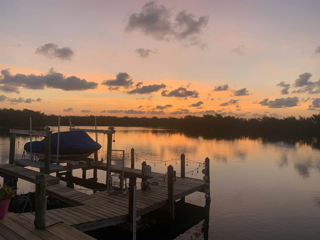 Warning Signs That Your Lake Pump Filter Needs Replacement
