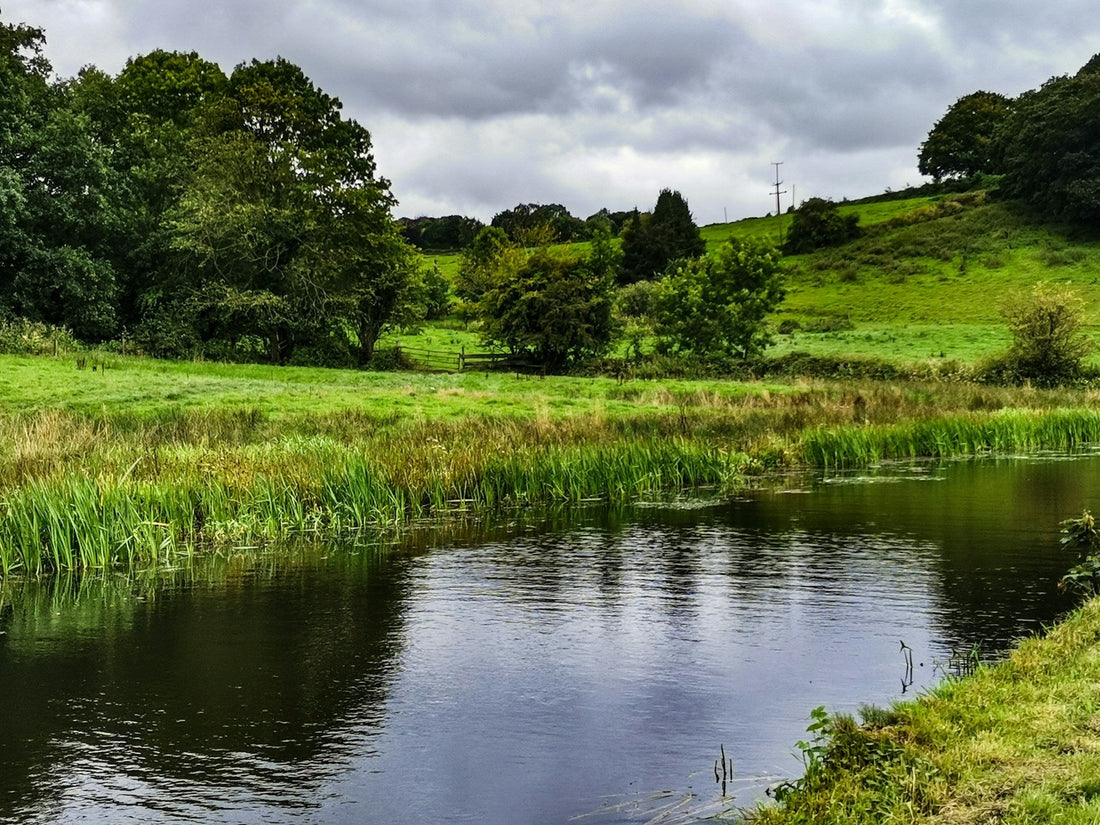 pond irrigation