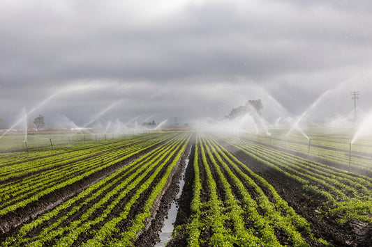 Irrigation System