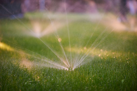 Enhance Your Lawn Irrigation Setup