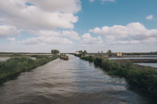 Fix Common Lake Irrigation Pump Problems Fast