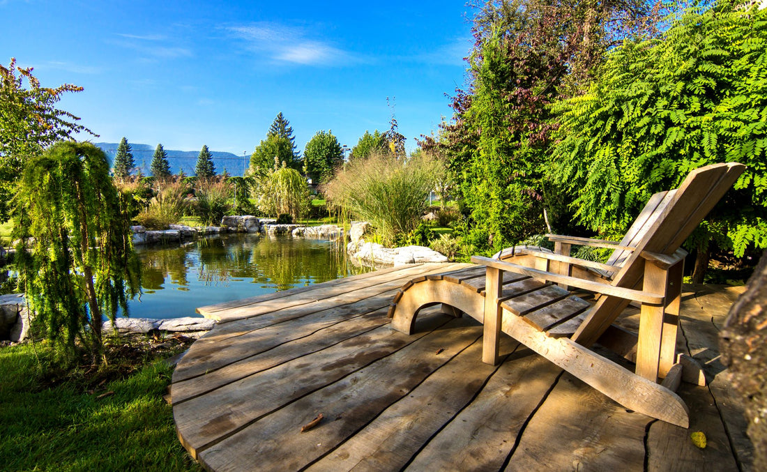 Landscaping for a Healthy Waterfront: A Guide for Homeowners