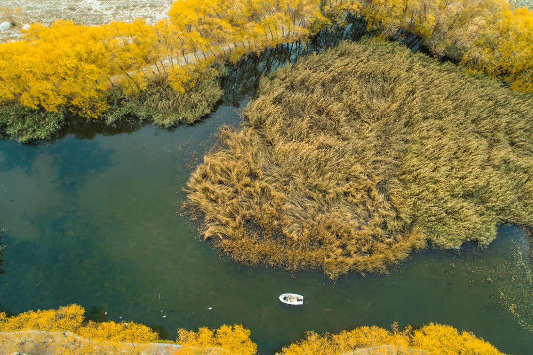 Revolutionize Lakeside Landscapes with Irrigation and Lake Weed Removal Solutions