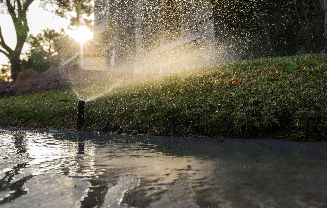 sprinkler watering lawn
