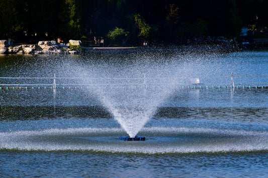 Lake Water Safe for Irrigation